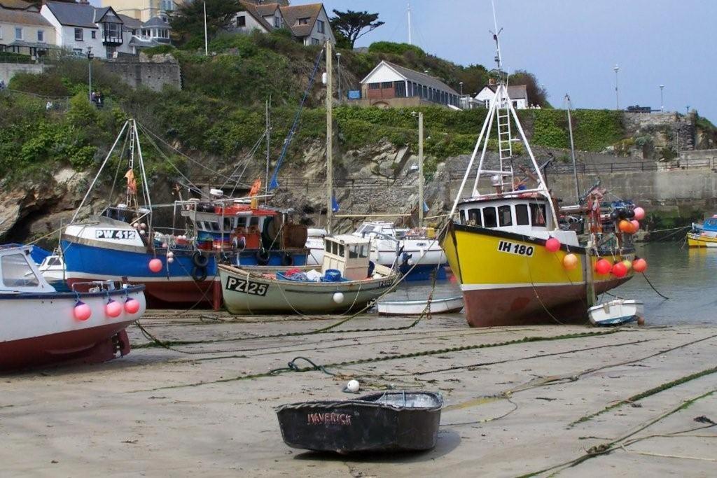 Trevellis Bed And Breakfast New Quay Extérieur photo