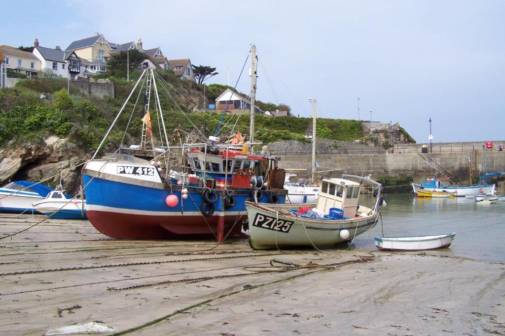 Trevellis Bed And Breakfast New Quay Extérieur photo